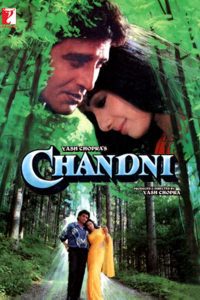 Chandni (1989) Hindi Full Movie Download WEB-DL 480p 720p 1080p