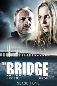 The Bridge (Season 1 – 4) Dual Audio {Hindi-English} WEB-DL Web Series 480p 720p Download