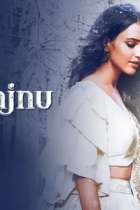 Laila Majnu (2018) Hindi Full Movie 480p 720p 1080p Flmyhunk