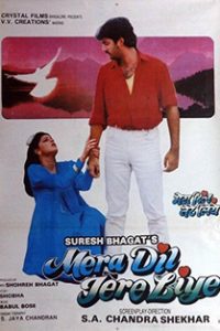 Mera Dil Tere Liye (1992) Hindi Movie 480p 720p 1080p