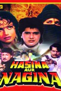 Hasina Aur Nagina 1996 Full Movie 480p 720p 1080p