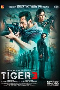 Download Tiger 3 (2023) Hindi AMZN WEB-DL Full Movie 480p 720p 1080p